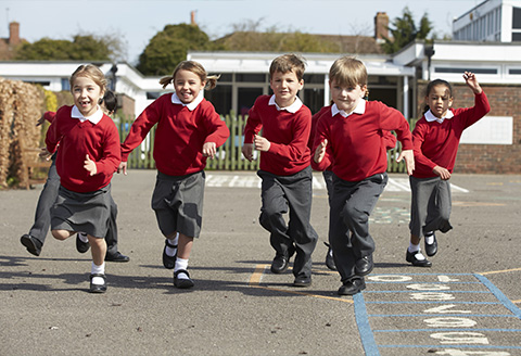 Ogi yn dod â rhaglen STEM ryngweithiol i ysgolion y de Image