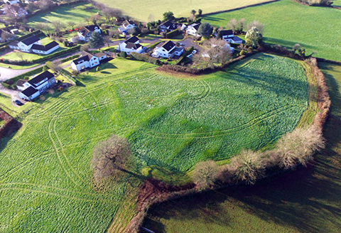 Newport landscape of fields and rural houses)